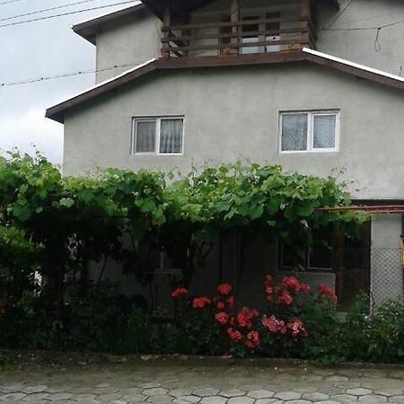 Ivaylova House Hotel Sapareva Banya Bagian luar foto